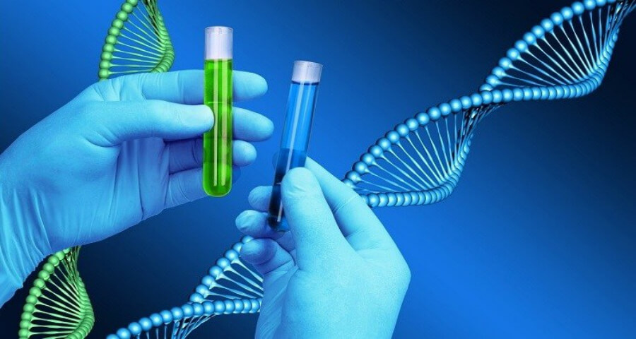 ما مدى أهمية اختبار الحمض النووي؟