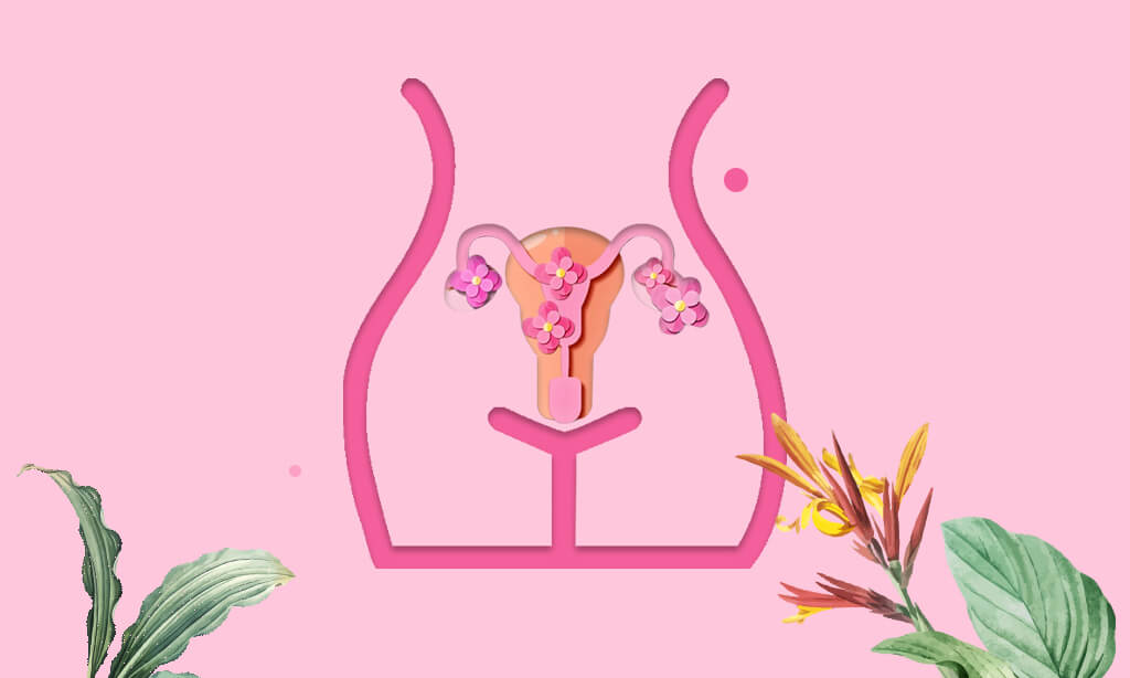 ما هو شكل عنق الرحم قبل الدورة؟ وكيف يدل على الحمل؟