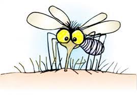 تخلصي من البعوض والحشرات في منزلك بطرق طبيعية غير ضارة