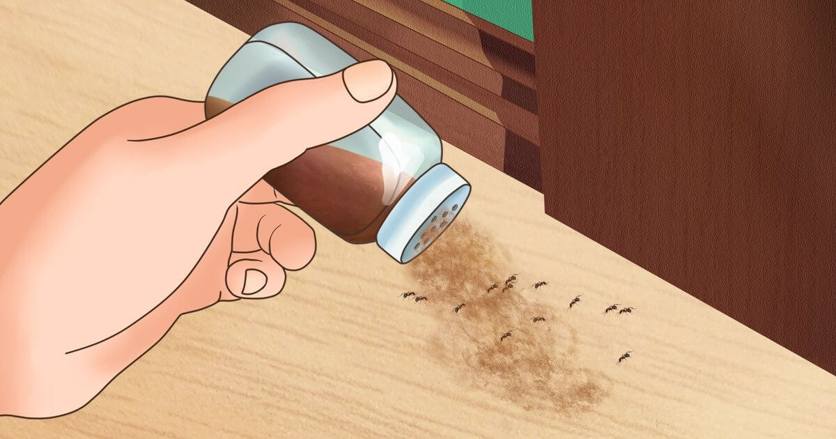 كيف تتخلصي من الحشرات الموجودة في منزلك ؟!                  