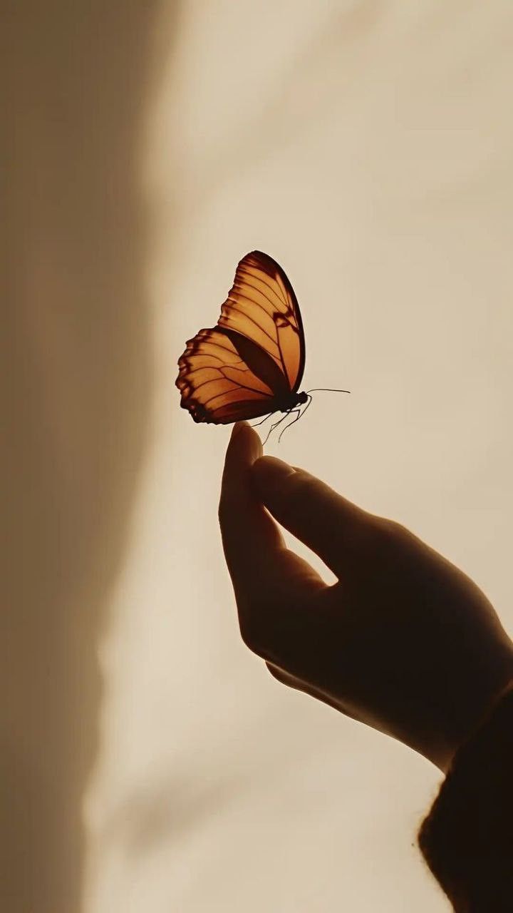 انهيار غرفة نومهما خلال الزلزال أنقذ حياتهما ! 