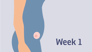 ماذا يحدث في الشهر الأول من الحمل ؟! إليكِ التفاصيل بالأسبوع !