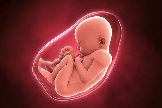متى يمكن اجراء تحليل الكروموسومات للحامل لمعرفة نوع الجنين